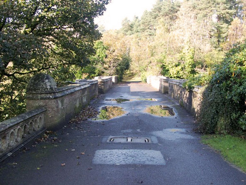 Cũng có ý kiến cho rằng những con chó tự tử tại cầu Overtoun vì chúng ngửi thấy mùi của loài chồn ở phía dưới cây cầu.