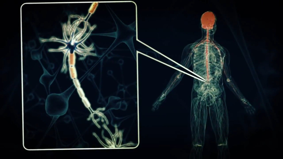 Với số lượng thương vong lớn chỉ trong một thời gian ngắn như vậy, Botulinum H được cho là chất độc nguy hiểm nhất đối với con người.