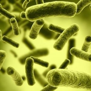 Theo các chuyên gia, chỉ với 1 gram chất độc Botulinum H ở dạng bột chưa pha loãng, hơn 1 triệu người sẽ dễ dàng mất mạng chỉ sau vài phút hít phải.