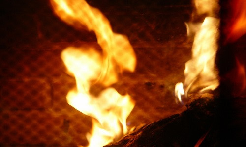 Ảnh minh họa: Internet.