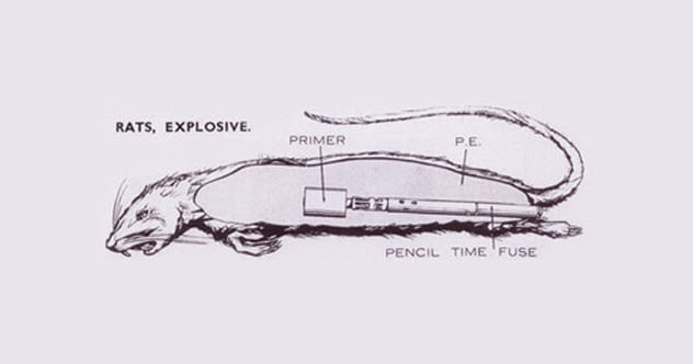 Đến năm 1941, nước Anh bị thiệt hại không nhỏ bởi các cuộc tấn công kinh hoàng của phát xít Đức.