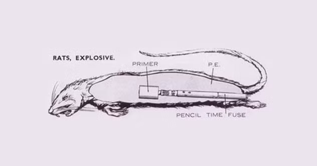 Đến năm 1941, nước Anh bị thiệt hại không nhỏ bởi các cuộc tấn công kinh hoàng của phát xít Đức.