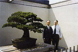 Phải đến năm 2001, câu chuyện về cây bonsai sống sót qua sự kiện bom hạt nhân được thả xuống Hiroshima và được 5 thế hệ gia đình Yamaki chăm sóc chu đáo trước khi chuyển đến Mỹ mới được tiết lộ.