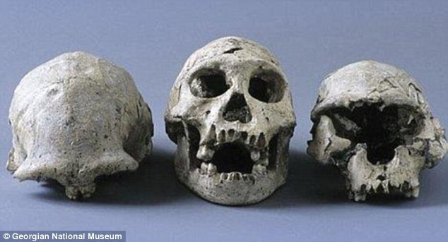 Những công cụ trên được tìm thấy chủ yếu ở 11 lớp đất hóa thạch khác nhau cho thấy những người họ hàng cổ đại chưa xác định của chúng ta đã nhiều lần quay trở lại cùng một địa điểm và có thể theo dõi, quan sát các loài động vật để săn bắn.