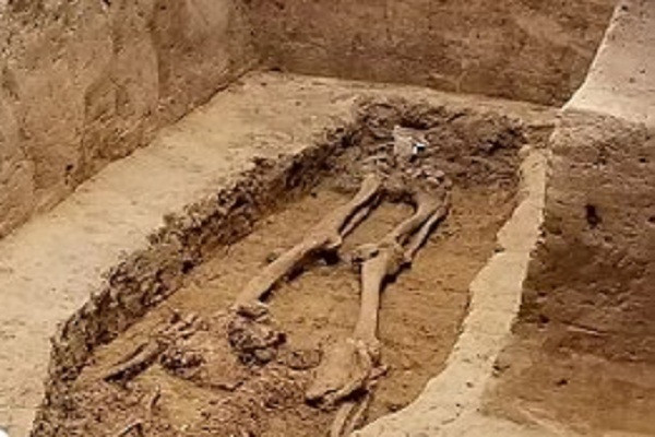 Kết quả nghiên cứu bộ hài cốt trên của các chuyên gia chỉ ra người này qua đời khi khoảng 40 tuổi. Điều này khá trùng khớp với độ tuổi qua đời của ông Yeardley. Các nhà nghiên cứu sẽ phân tích và thực hiện các kiểm tra ADN của bộ xương để xác định xem đây có thực sự là thi hài của Yeardley hay không.