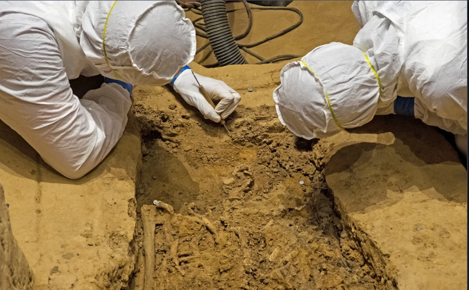 Nhà khảo cổ Kaitlyn Fitzgerald thuộc Jamestown Rediscovery cho hay hài cốt không đầu mới phát hiện trên phải là một người nổi bật trong xã hội hoặc giới giáo sĩ thì mới được chôn cất ở Chancel của nhà thờ.