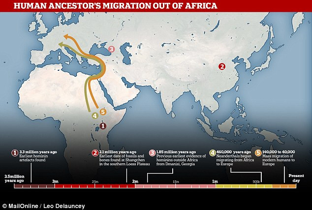 Trong quá trình khai quật ở một khu vực được gọi là Cao nguyên Loess, phía bắc dãy núi Tần Lĩnh, phân chia phía Bắc và phía Nam Trung Quốc, các chuyên gia đã phát hiện một số công cụ bằng đá và một số mảnh xương động vật.