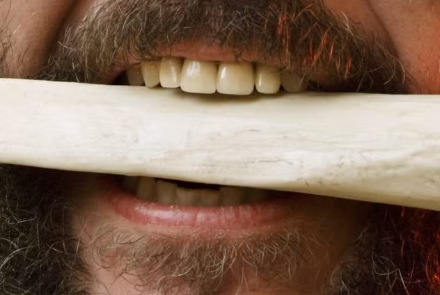 Một số thi hài có dấu vết bị hỏa thiêu hoặc bị đồng loại ăn thịt.