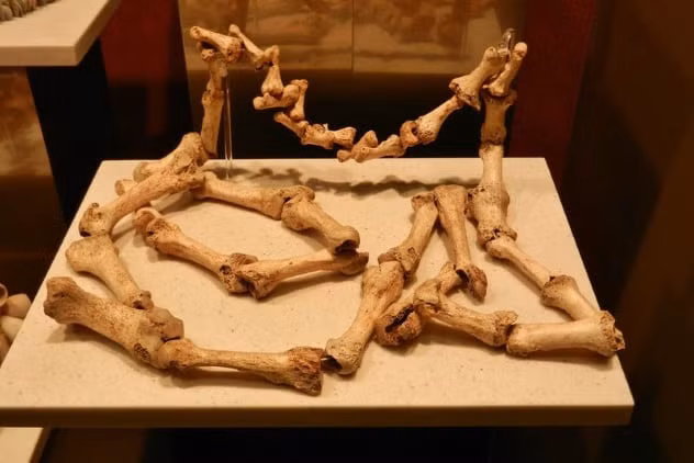 Xương người chết cũng được người xưa chế tác thành trang sức. Trong đó, các chuyên gia tìm thấy hộp sọ làm bùa hộ mệnh có niên đại vào năm 3500 trước Công nguyên ở Neuchatel, Thụy Sĩ.