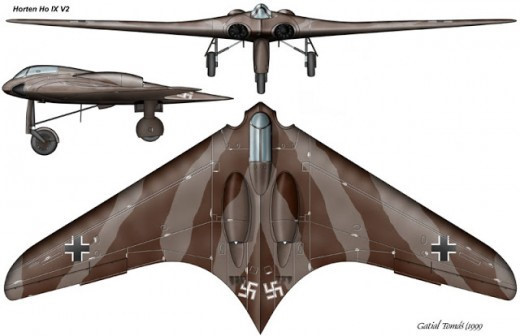 Horten Ho 229 là một vũ khí có sức sát thương lớn của phát xít Đức khiến quân đồng minh phải lo ngại. Nó được coi là máy bay ném bom tàng hình đầu tiên trên thế giới.