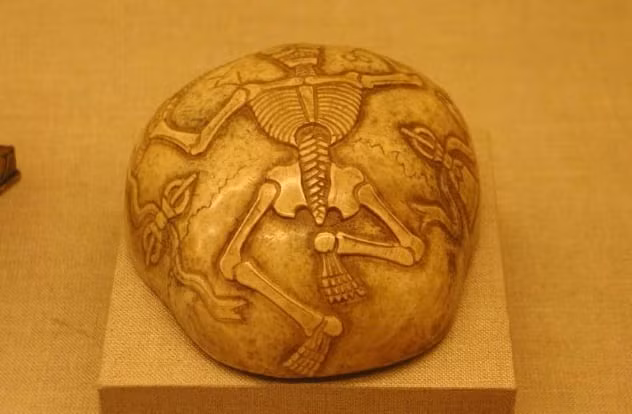 Một số nền văn hóa cổ xưa sử dụng hộp sọ lấy từ thi hài người chết làm thành những chiếc cốc hoặc bát để chứa đồ uống.