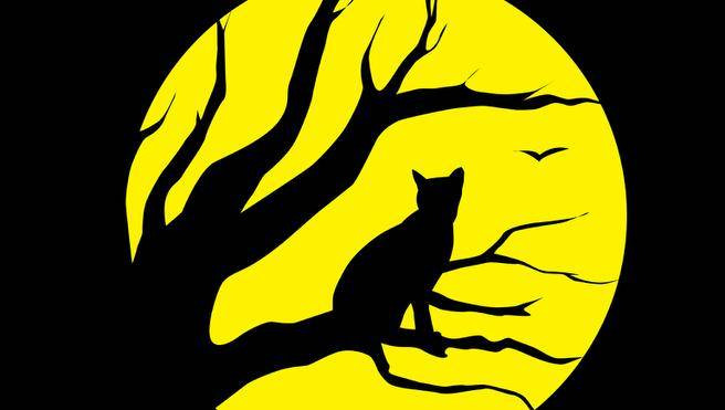 Trước những quyết định quan trọng, một số người có thể cầu nguyện hay thực hiện một số hành vi mê tín nhằm đạt được kết quả tốt và hoàn thành công việc một cách thuận lợi.