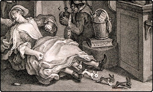 Khi ấy, Mary Toft sống ở Surrey, Anh khiến dư luận không khỏi kinh ngạc khi sinh ra... thỏ. Một số bác sĩ tận mắt chứng kiến cảnh Mary Toft sinh ra hàng chục con thỏ khiến câu chuyện của người phụ nữ này càng trở nên đáng tin cậy hơn.