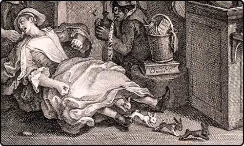 Khi ấy, Mary Toft sống ở Surrey, Anh khiến dư luận không khỏi kinh ngạc khi sinh ra... thỏ. Một số bác sĩ tận mắt chứng kiến cảnh Mary Toft sinh ra hàng chục con thỏ khiến câu chuyện của người phụ nữ này càng trở nên đáng tin cậy hơn.