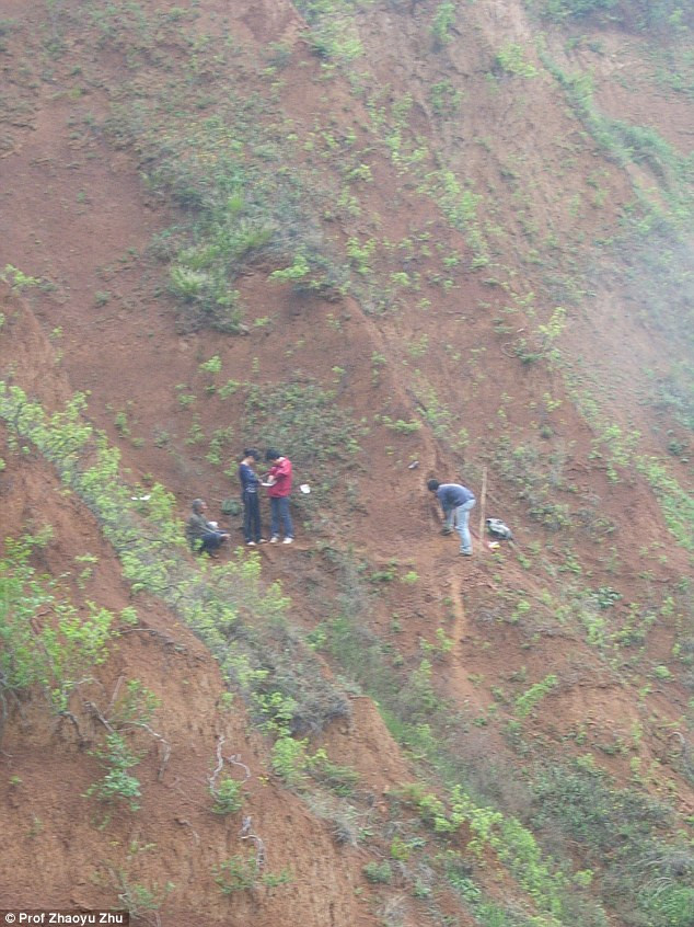 Giáo sư Robin Dennell thuộc Đại học Exeter, người đã tham gia vào dự án trên cho biết: "Khám phá mới đây giúp chúng tôi tìm hiểu, xem xét lại thời điểm con người đầu tiên rời khỏi châu Phi".
