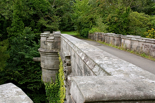 Sự việc kỳ bí này bắt đầu xảy ra vào khoảng những năm 1950 - 1960. Khi ấy, những con chó đi qua cây cầu Overtoun đột nhiên nhảy từ trên cao xuống và chết.