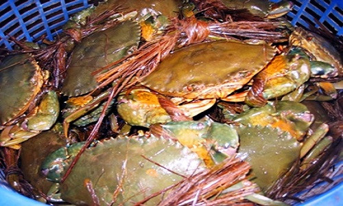 Ảnh minh họa: Internet.