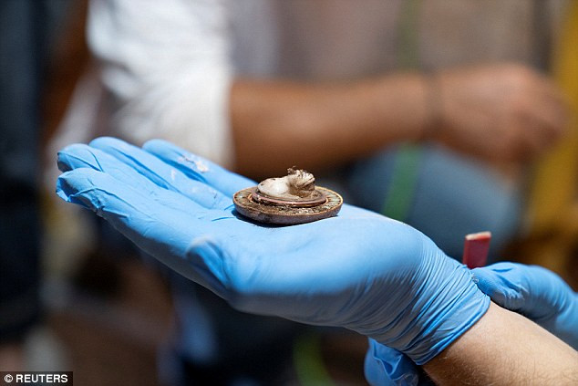 Ngoài hài cốt nữ quý tộc, các chuyên gia tìm thấy vòng tay, nhẫn, dây chuyền vàng cũng như nhiều bình thủy tinh và kim loại, vải vụn từ quần áo của Neko.