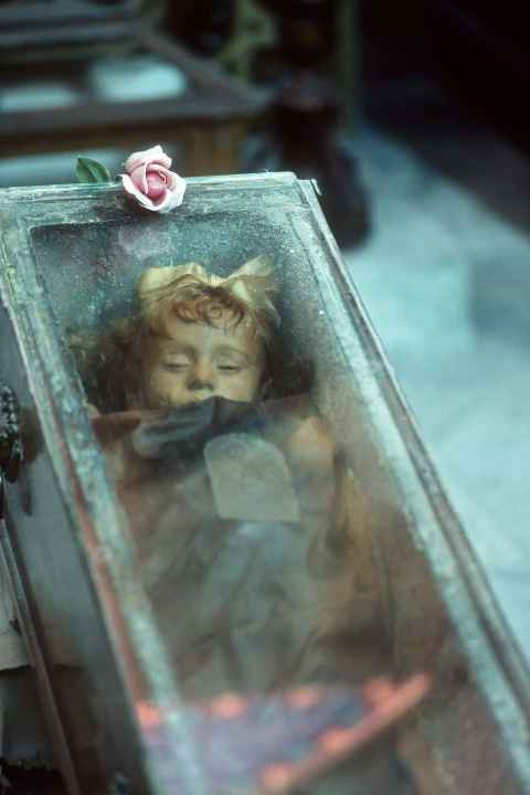 Ông Lombardo quyết định ướp xác con gái vì muốn lưu giữ thi hài của Rosalia mãi mãi. Quy trình ướp xác Rosalia khá phức tạp. Đầu tiên, người ta thay máu của cô bé bằng formalin. Kế đến, rượu và glycerin được sử dụng để giữ cho cơ thể của Rosalia khô mà không mất nước hoàn toàn.