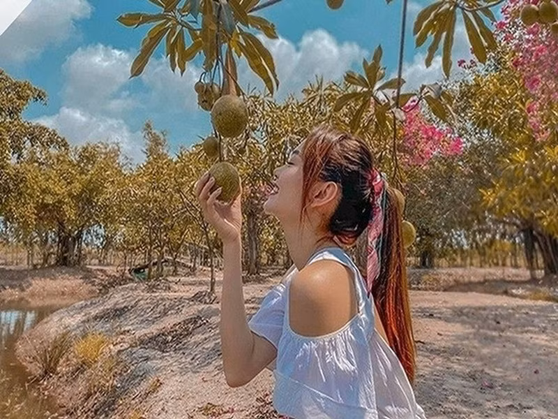 Minh Hằng sở hữu khối tài sản “khủng”. Nữ ca sĩ tậu biệt thự nguy nga như tòa lâu đài ở vị trí đắt đỏ tại TP HCM. Nữ ca sĩ còn mua căn hộ 125m2 trị giá khoảng 20 tỷ đồng. Bên cạnh đó, Minh Hằng có trong tay mảnh vườn rộng rãi có đủ cây ăn trái, ao cá rộng tới 20.000m2 ở Đồng Nai. Ảnh: FB Minh Hằng.