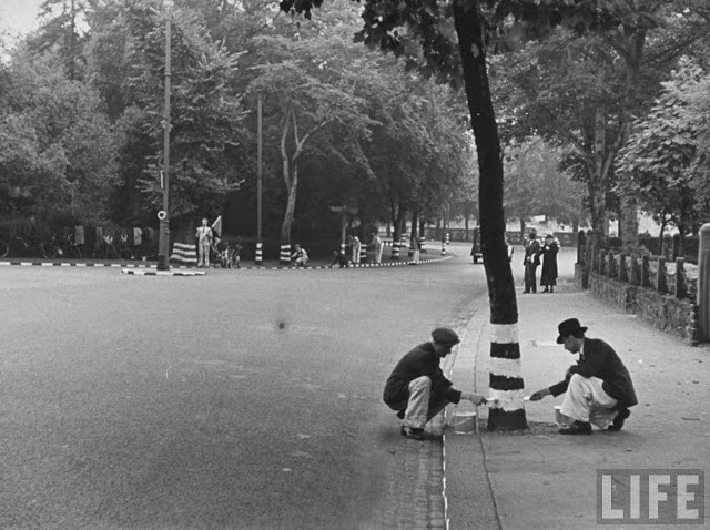 Hai công nhân vẽ vòng tròn sơn màu trắng ở gốc cây trong trường hợp London mất điện trong các cuộc không kích của phát xít Đức.