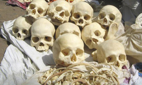 3. Buôn lậu sọ người. Năm 2008 tại Jaigaon, một vụ buôn lậu sọ người lớn được phát giác ở miền đông Ấn Độ với hàng trăm sọ người và xương đùi được vận chuyển đến vương quốc Bhutan.