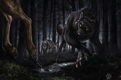 Trong văn hóa dân gian, người sói được miêu tả có khả năng thay đổi hình dáng từ một con người thành một con chó sói. Trong một số truyền thuyết, người đàn ông chỉ có thể biến thành chó sói khi trăng tròn. Sinh vật thần thoại này không bị thương bởi bất cứ loại vũ khí nào trừ khi chúng được làm từ bạc.