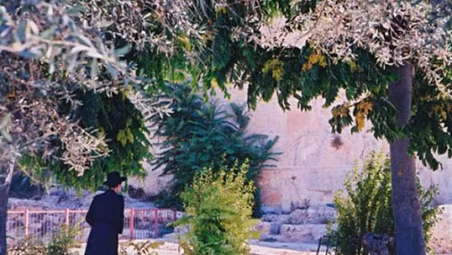 Đối với người Do Thái, Gan Eden chính là thiên đường và thường được so sánh với Vườn Địa đàng trong Kinh Thánh. Một số người suy đoán Gan Eden nằm ở một nơi nào đó ở Trung Đông nhưng không rõ vị trí chính xác.