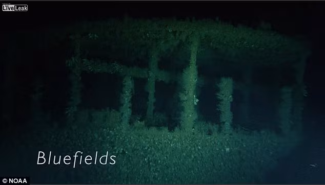 Xác tàu ngầm U-576 bị hoen rỉ, rêu mọc kín sau gần 1 thế kỷ "ngủ vùi" dưới đáy đại dương.