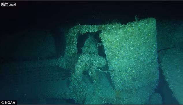 Tàu ngầm U-576 của Đức quốc xã bị đánh chìm vào ngày 15/7/1942. Người ta tin rằng 44 thủy thủ trên tàu ngầm U-boat đó thiệt mạng và chịu chung số phận với con tàu khi nó gặp nạn.