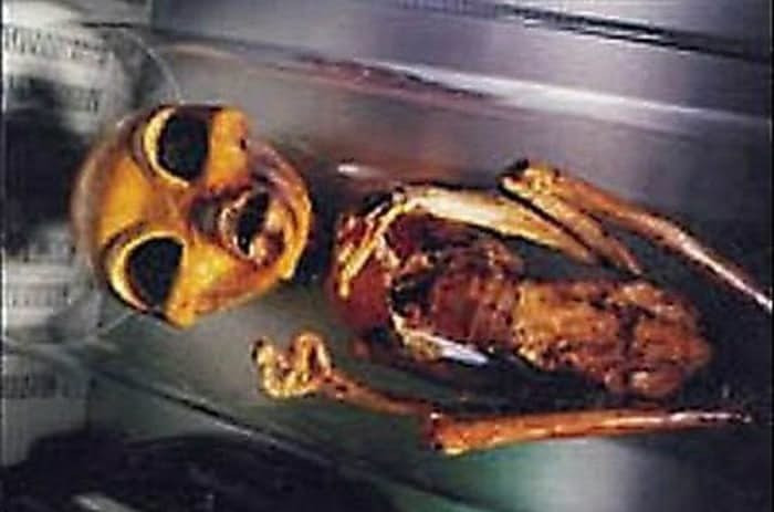 Bộ hài cốt giống của người ngoài hành tinh này được khai quật ở dãy Andes. Nhiều người hoài nghi bộ hài cốt kỳ lạ đó là xác người ngoài hành tinh bởi nó không giống thi thể của con người hay tinh tinh...