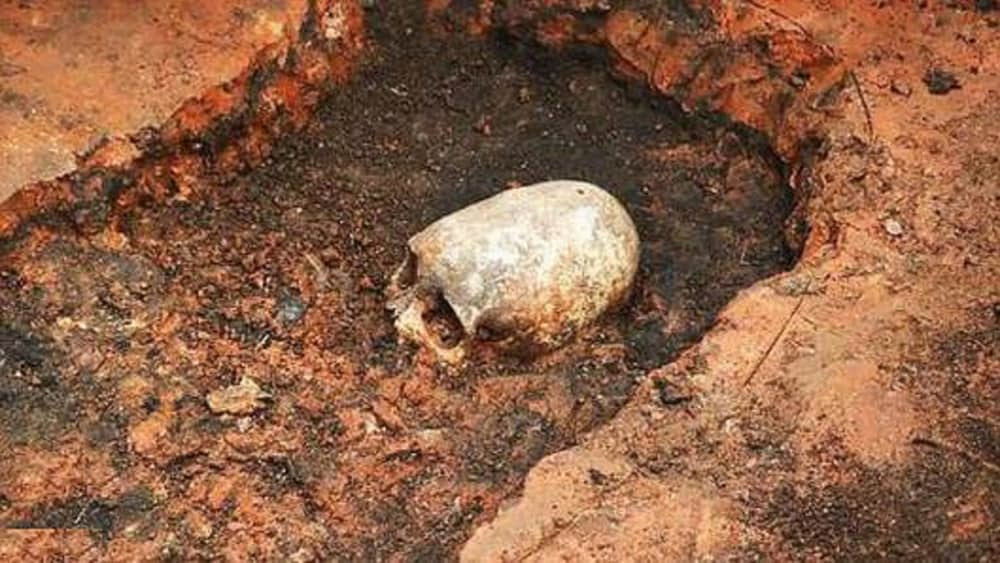 Năm 2015, các nhà khoa học Nga đã khai quật được một hộp sọ kỳ quái hình bầu dục, phần xương sọ kéo dài ra phía sau ở Arkaim, tỉnh Chelyabinsk. Nhiều người cho rằng đó là sọ của người ngoài hành tinh. Tuy nhiên, theo các nhà khoa học, đây là hộp sọ của một người phụ nữ sống cách đây khoảng 2.000 năm.
