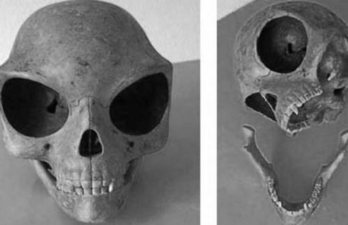 Hộp sọ Sealand được đánh giá là hộp sọ bí ẩn nhất thế giới bởi nó có hình dáng khá đặc biệt. Cụ thể, hốc mắt to hơn so với người bình thường (cả người cổ đại lẫn hiện đại). Theo kết quả nghiên cứu, "sinh vật bí ẩn" này sống vào khoảng năm 1200 TCN - 1280 TCN.