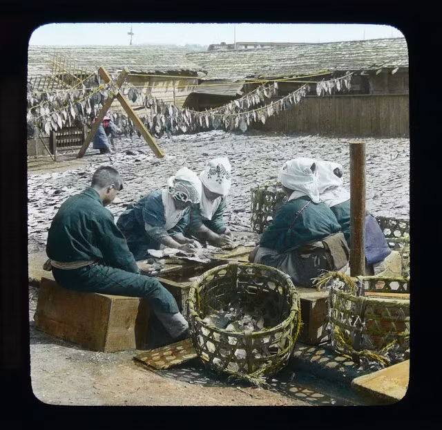 Những ngư dân tỉ mỉ trong từng công đoạn chế biến cá khô.