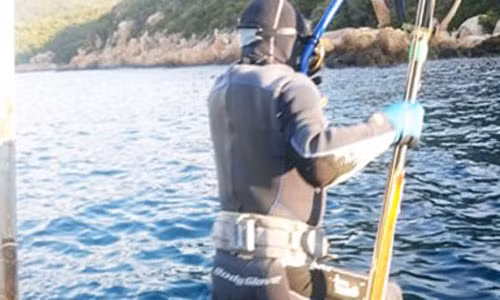 Từng người lặn sẽ được thả ở từng điểm riêng biệt. Từng người lặn sẽ được thả ở từng điểm riêng biệt.