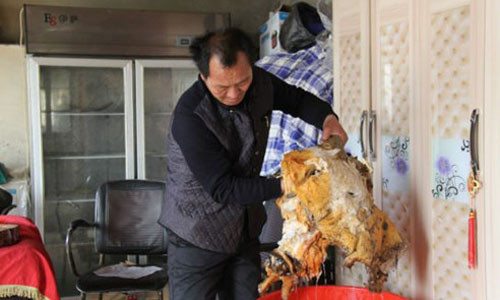 Cách đây khoảng 8 tháng, vào ngày 22/3, lão nông Wang Chengde ở Đan Đông (Liêu Ninh, Trung Quốc) đã may mắn đào được 70kg nấm linh chi trường thọ “Taisui” tự nhiên cực quý trên rừng.