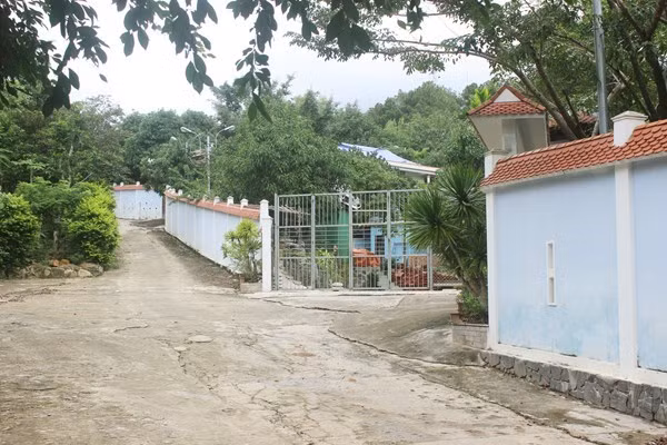 Dung thao do biet phu cua dai gia vang tren nui Hai Van?-Hinh-2