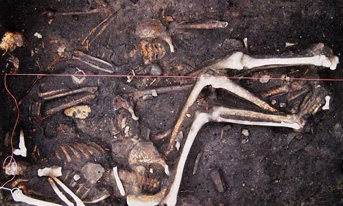 Phat hien khung khiep Dai dich hach tan pha chau Au TK 17