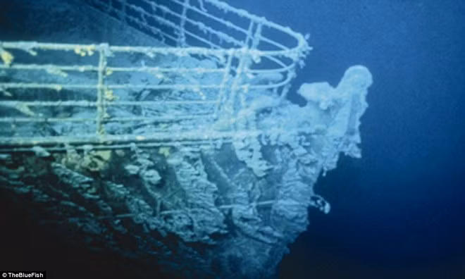 Nhiều mẫu vật được lấy từ xác tàu Titanic để phục vụ nghiên cứu hiện trường con tàu bị chìm.