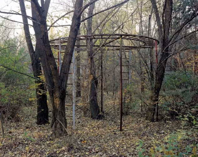 Sự hồi sinh của thiên nhiên với cây cối phát triển rậm rạp ở Chernobyl sau thảm họa.