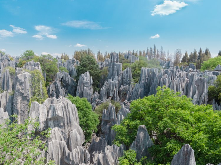 The Stone Forest, Trung Quốc. (ảnh: Insider).