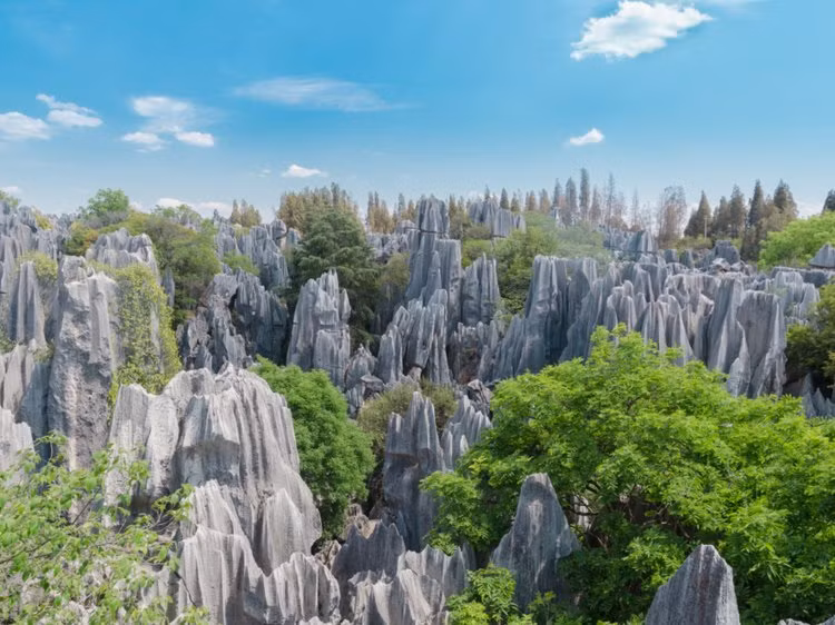 The Stone Forest, Trung Quốc. (ảnh: Insider).