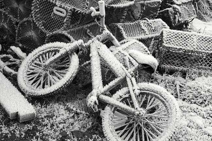 Đầu năm 2002, một cặp sinh đôi 70 tuổi đã chết cùng một ngày ở Raahe, Phần Lan. Hai người đàn ông này đều bị xe tải đâm khi đang đạp xe và cách nhau chỉ 2 giờ đồng hồ tại 2 địa điểm tai nạn cách nhau gần 2km.