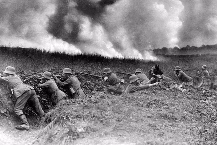 Chú chó béc-giê liên lạc có mặt trên chiến trường lúc nước sôi lửa bỏng trong Thế chiến 1 năm 1918. Chó được sử dụng rộng rãi trong Thế chiến 1 để làm nhiệm vụ trinh sát, cứu hộ, đưa thư...