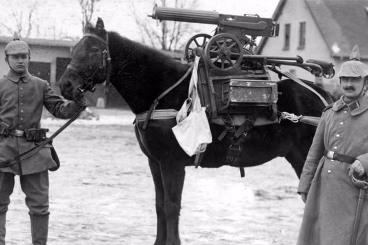 Chú ngựa chuyên chở súng máy Nga Maxim M191. Binh sĩ trong ảnh là lính Đức.