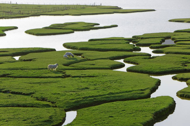  Cao nguyên, Scotland: Vùng núi ở miền tây bắc Scotland nổi tiếng với vẻ đẹp như một thế giới cổ tích với các lâu đài, bãi biển hoang sơ và tàn tích cổ xưa. Du khách nên tới đây vào tháng 5 và 6, khi thời tiết đẹp nhất.