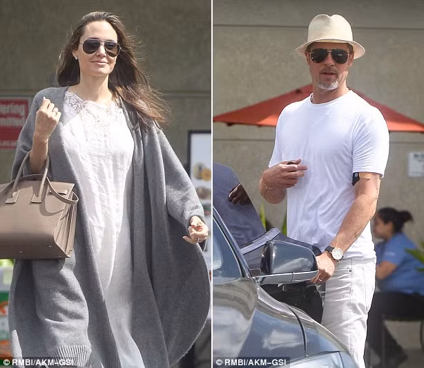 Trong khi đó Angie lại thường xuyên có mặt ở London để theo đuổi công việc từ thiện. Cô còn tham gia giảng dạy tại Trường Kinh tế London.