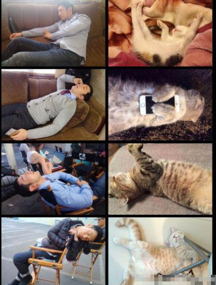 Các dáng ngủ khó đỡ của Huỳnh Hiểu Minh bị ví như dáng ngủ của chú mèo lười.