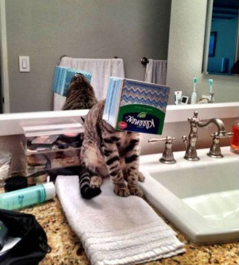 Xung quanh tối thui vậy?