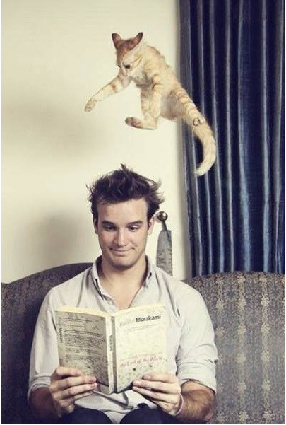 Hãy chờ đòn của em đây!